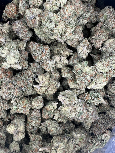 Gelato Hemp