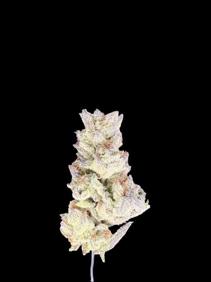 Gorilla Glue Hemp bud on a dark background. 