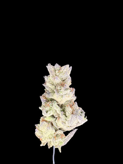 Gorilla Glue Hemp bud on a dark background. 