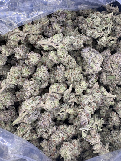 Gorilla Glue Hemp buds in a bag. 