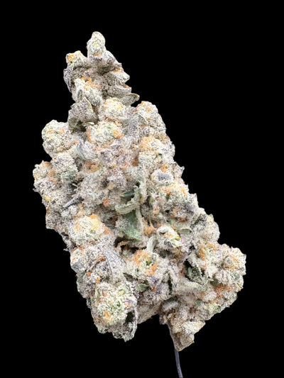 Grape Zyrup Hemp Flower bud on a dark background. 