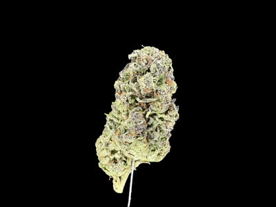 Gush Mintz Hemp bud on dark background. 