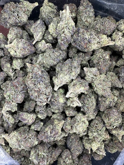 Premium hemp, Gush Mintz Hemp buds in a bag. 
