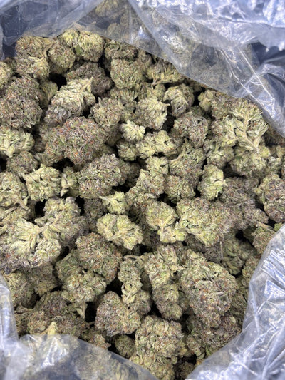 Hallee Berry Hemp buds in a bag. 