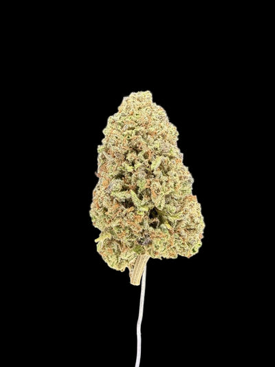 Close-up of a cannabis bud on a dark background