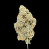 Hash Cake Hemp - 20-325