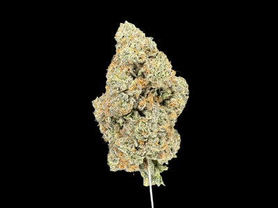 Hash Cake Hemp - 20-325
