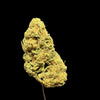 Ice Cream Cake Hemp