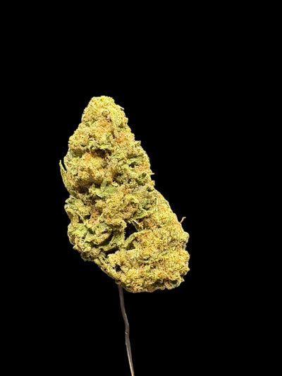 Ice Cream Cake Hemp