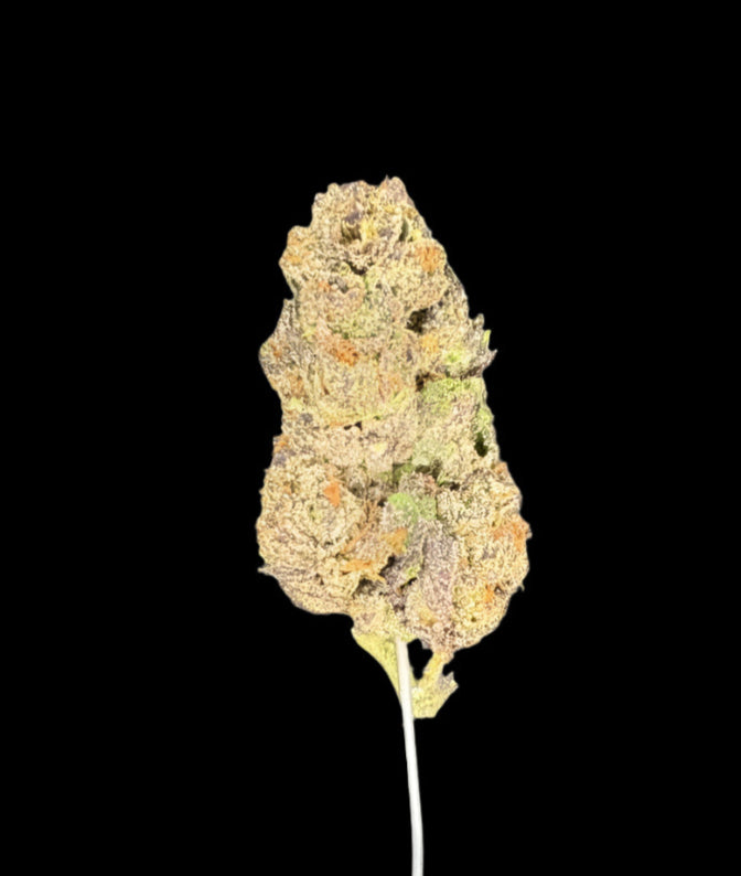 Ice Cream Waffle Cone Hemp bud on dark background. 