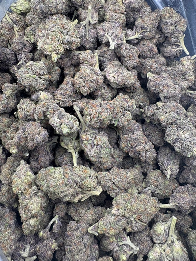 Ice Cream Waffle Cone Hemp buds in a bag. 
