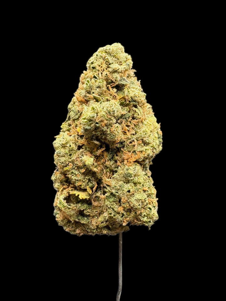 Close-up of a cannabis bud on a dark background