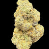 Jealousy Hemp