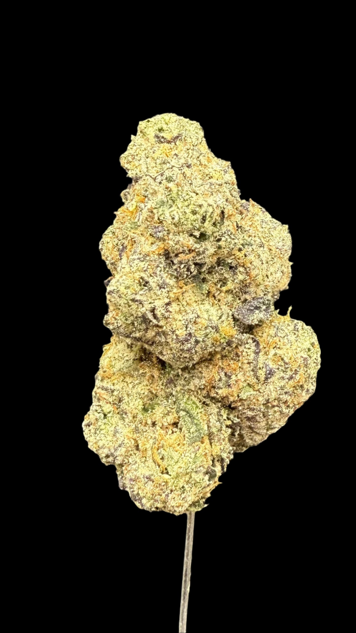 Jealousy Hemp