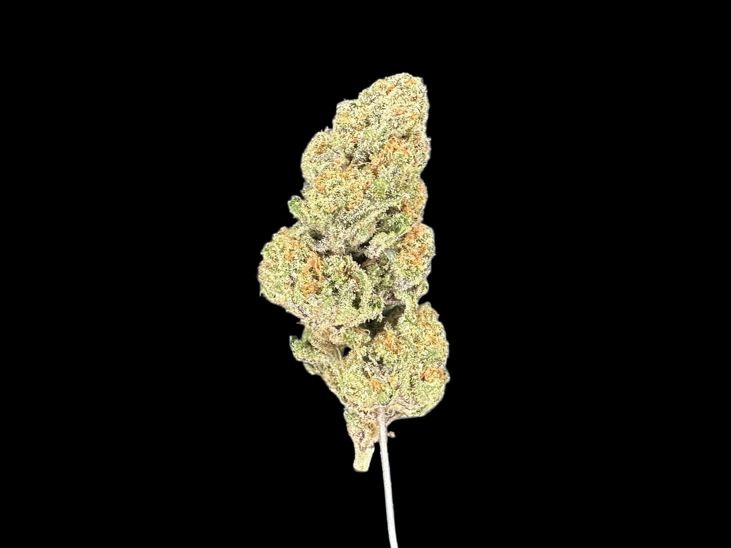 Lemon Cherry Diesel Hemp