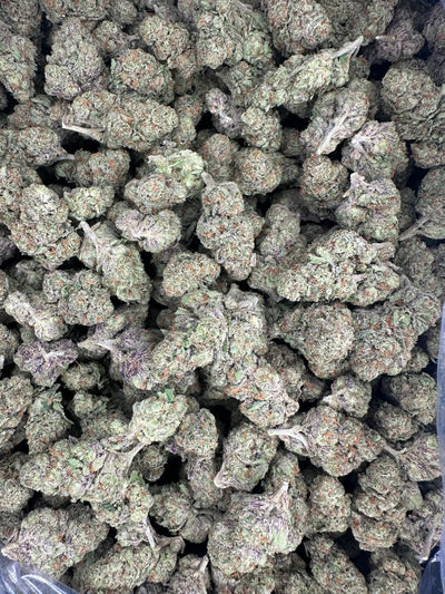 Lemon Cherry Diesel Hemp