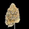 Lemon Cherry Runtz Hemp