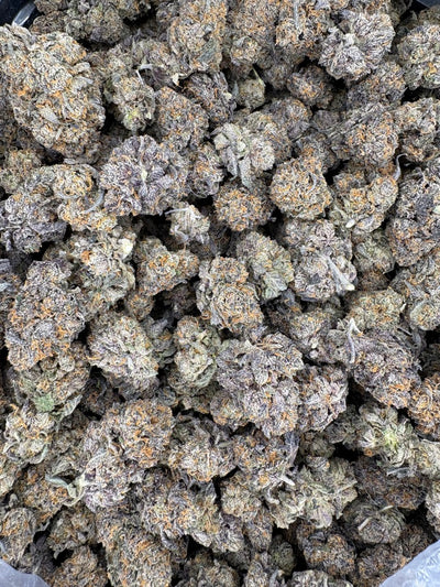 Lemon Cherry Runtz Hemp