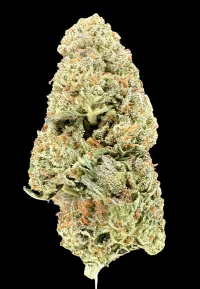 London Pound Cake Hemp - 30-302