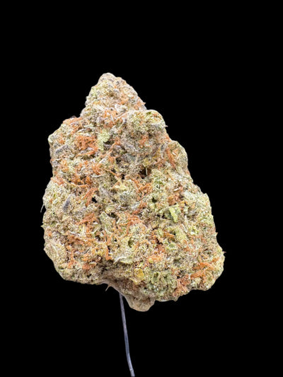 Lemon Tree Hemp Flower bud on a dark background. 