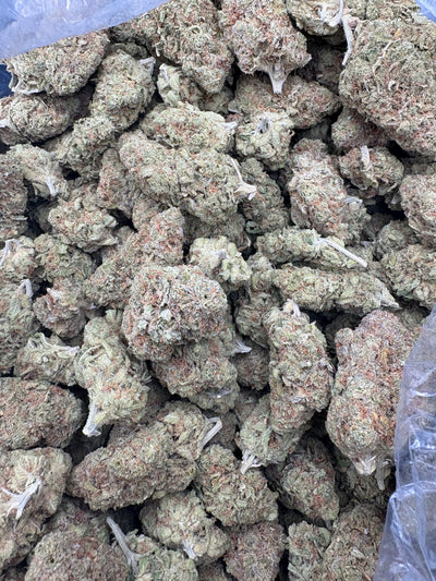 Lemon Tree Hemp Flower buds in a bag. 
