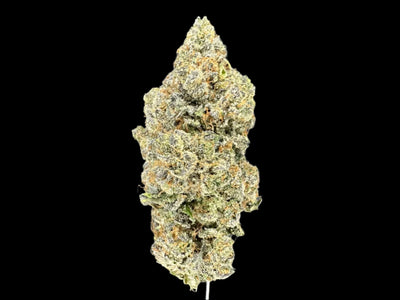 London Fog Hemp Flower bud on a dark background. 