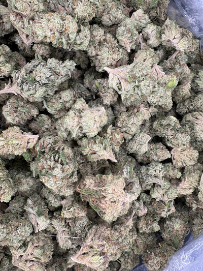 MMOG Hemp - 55-309
