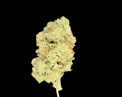 Magic Night Hemp - 29.481% - HF049