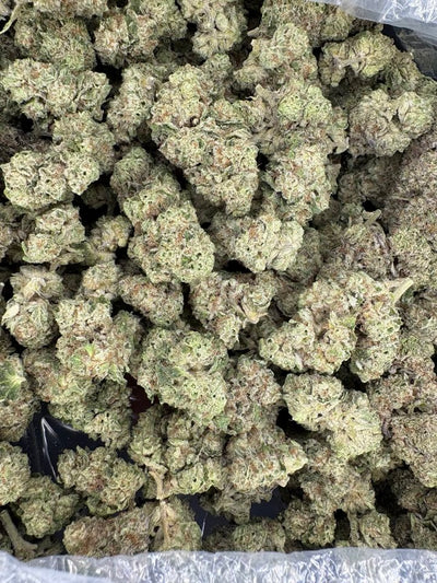 Magic Night Hemp - 29.481% - HF049