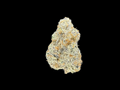 Mac Daddy Hemp Flower bud on a dark background. 