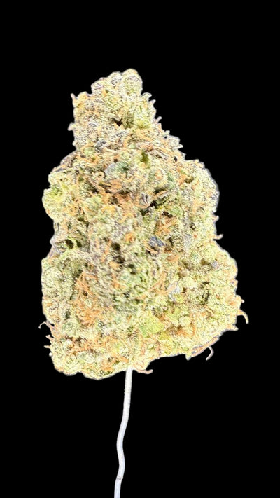 Close-up of a cannabis bud on a dark background