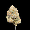 Neapolitan Crunch Hemp - 56-385