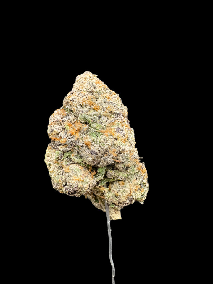 Neapolitan Crunch Hemp - 56-385