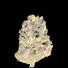Orange Cream Cake Hemp bud on dark background. 