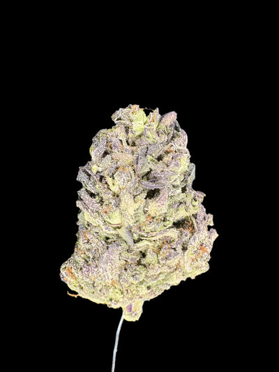 Orange Cream Cake Hemp bud on dark background. 