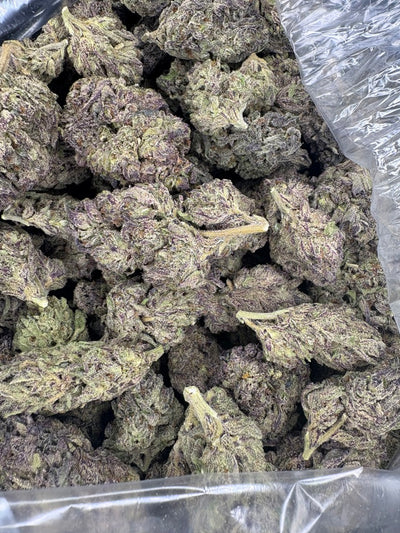 Bag of Orange Cream Cake Hemp buds. 