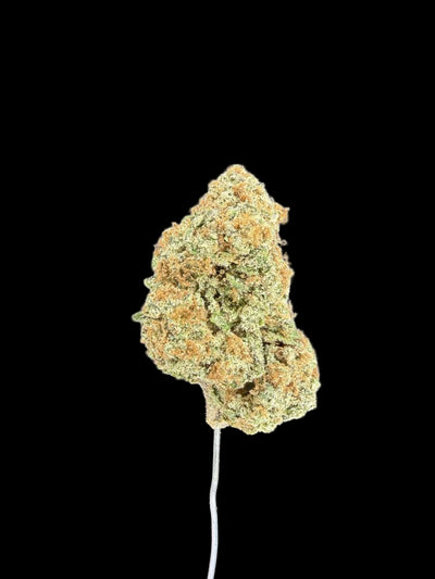 Close-up of a cannabis bud on a dark background