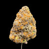 Close up of a THCa bud on a dark background