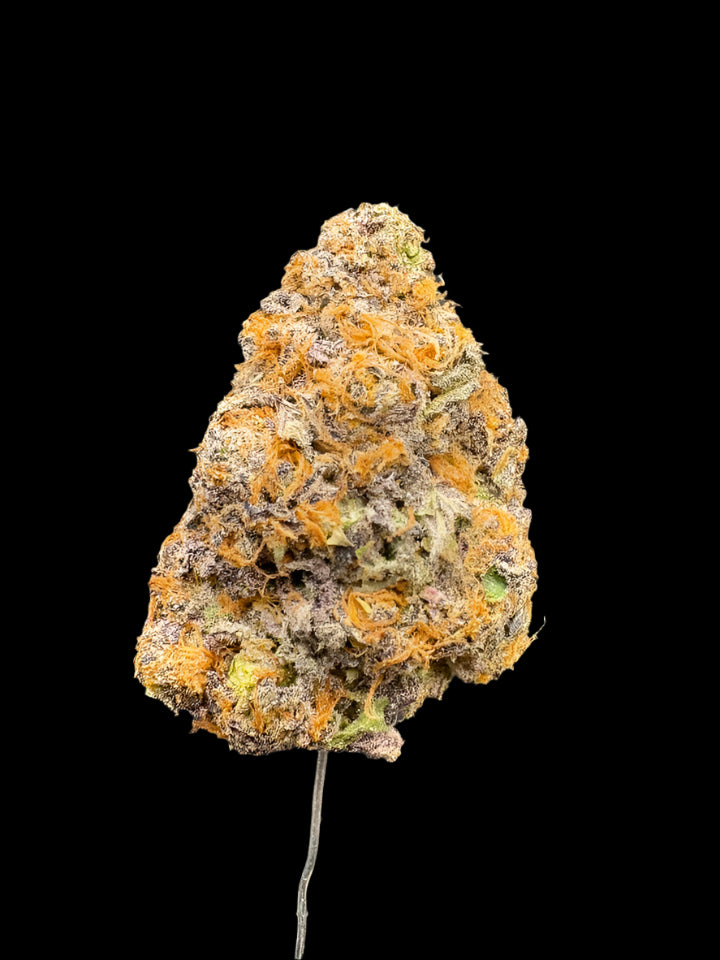 Close up of a THCa bud on a dark background