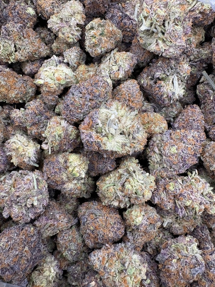 Close up of PBT buds 
