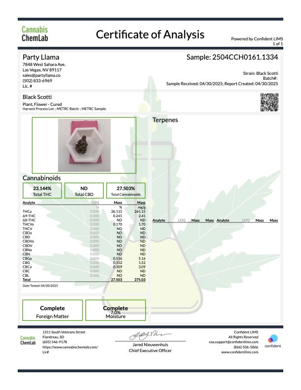 Black Scotti Hemp