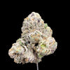Platinum LCG Hemp Flower bud