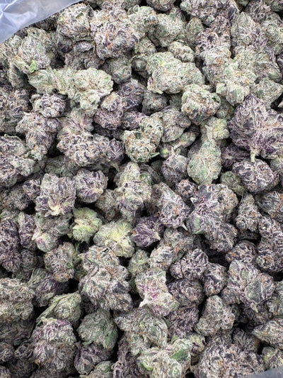 Platinum LCG Hemp Flower buds in a bag. 