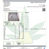 Detroit Runtz Hemp - 30-302