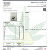 Certificate of Analysis for Orange Cream Cake Hemp. 