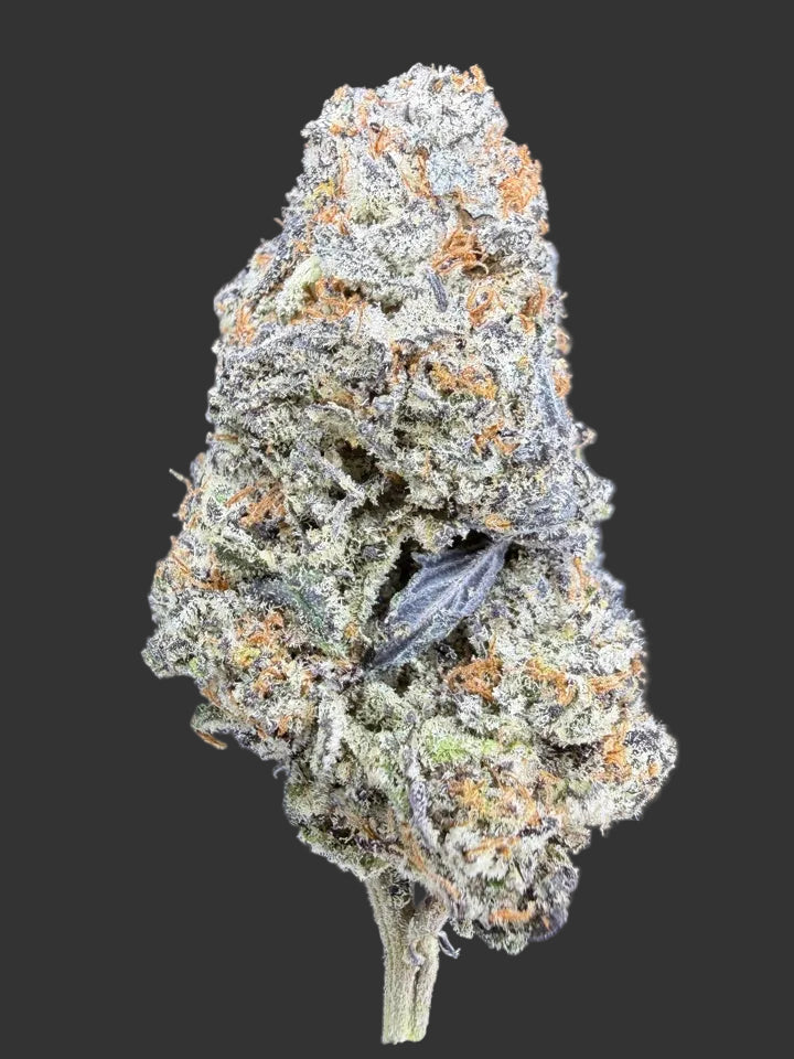 Pure Michigan Hemp
