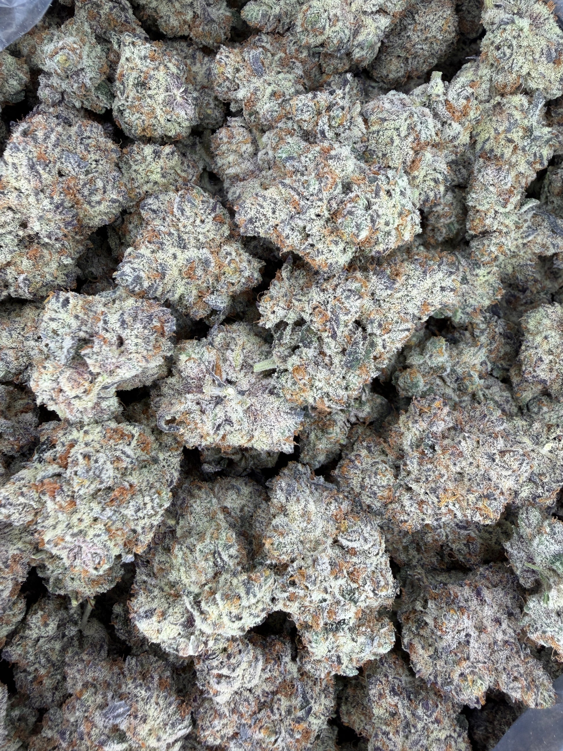 Product photo of a Peanut Butter Brittle hemp 1 lb bag on a clean background, featuring colorful Party Llama branding and clear strain and batch labeling to highlight this premium THCa hemp flower