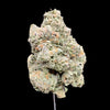 Rainbow Nerds Hemp - 20-373