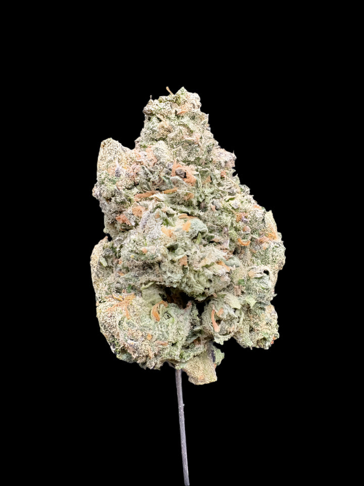 Rainbow Nerds Hemp - 20-373