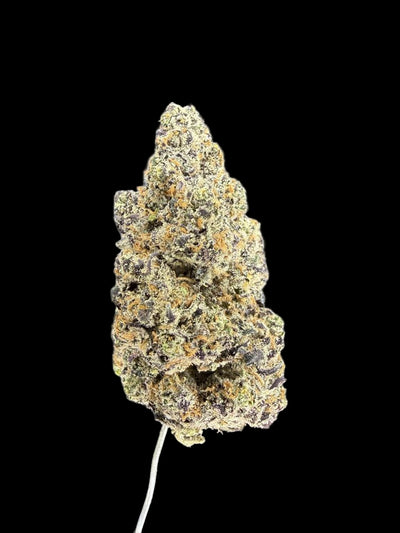 Close-up of a cannabis bud on a dark background